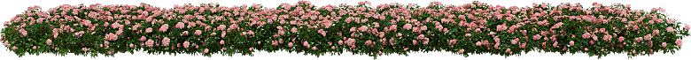 PS高清景观花卉花镜花坛花草植物搭配
