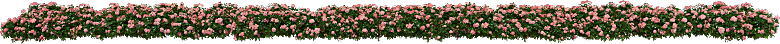 PS高清景观花卉花镜花坛花草植物搭配
