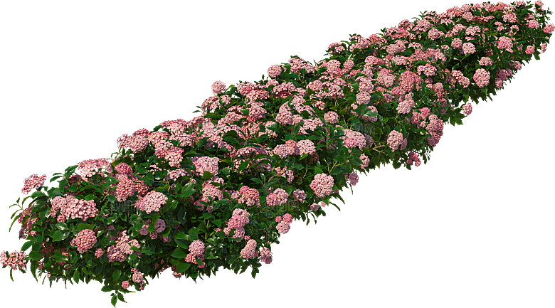 PS高清景观花卉花镜花坛花草植物搭配