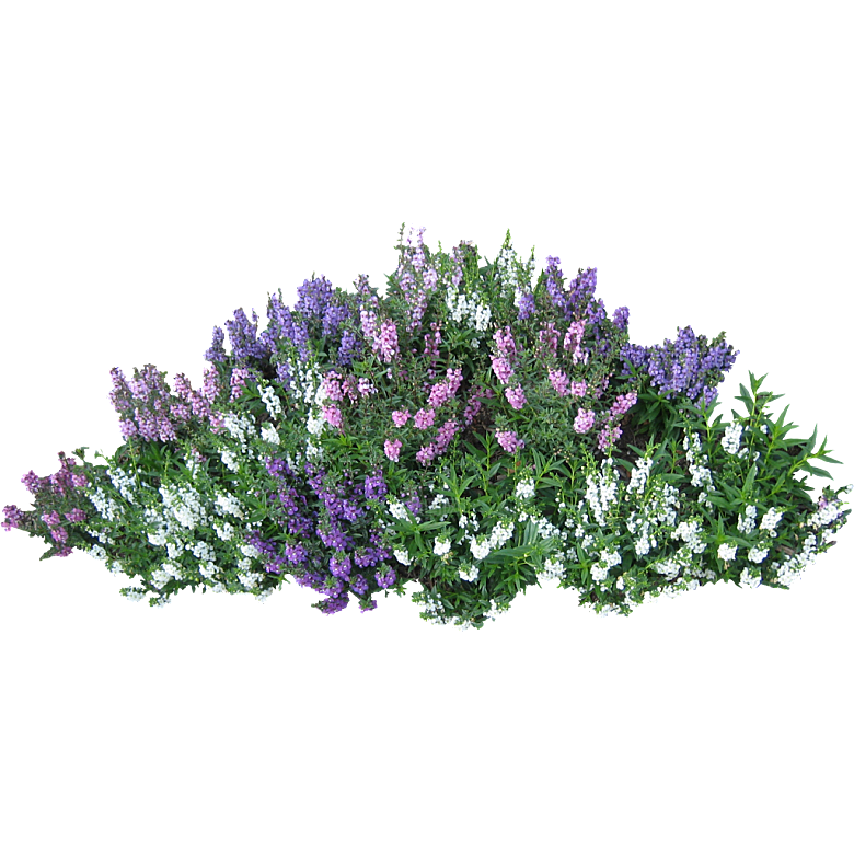 PS高清景观花卉花镜花坛花草植物搭配