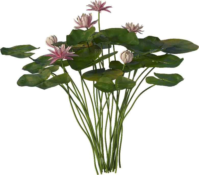 PS高清景观花卉花镜花坛花草植物搭配