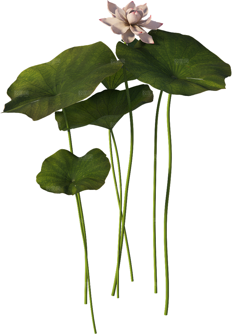 PS高清景观花卉花镜花坛花草植物搭配素材