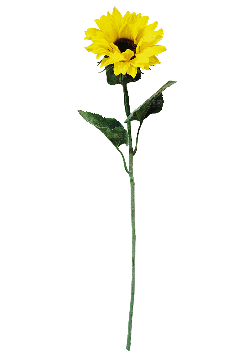 PS高清景观花卉花镜花坛花草植物搭配