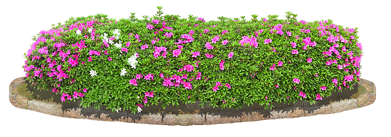 PS高清景观花卉花镜花坛花草植物搭配