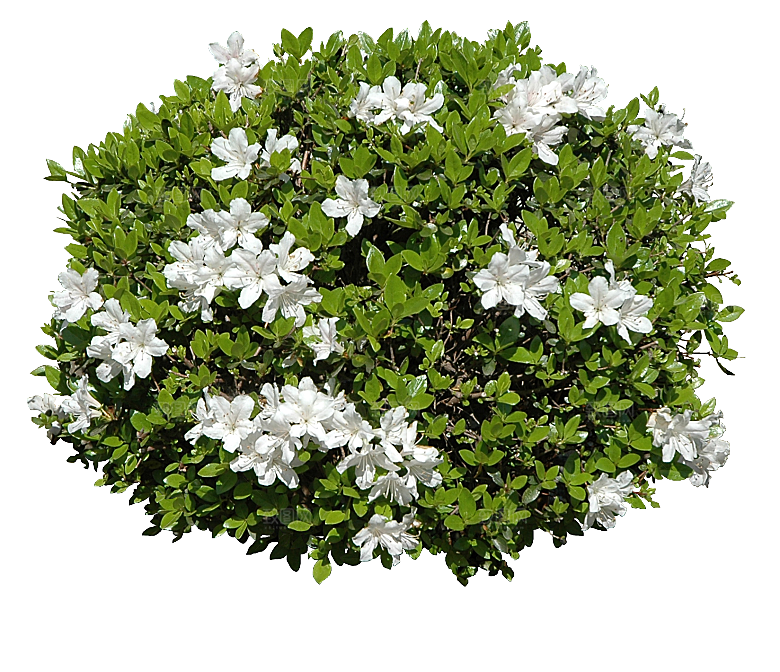 PS高清景观花卉花镜花坛花草植物搭配素材