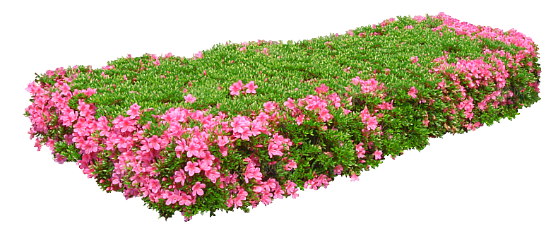 PS高清景观花卉花镜花坛花草植物搭配素材