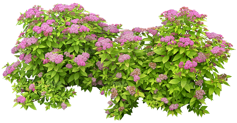 PS高清景观花卉花镜花坛花草植物搭配