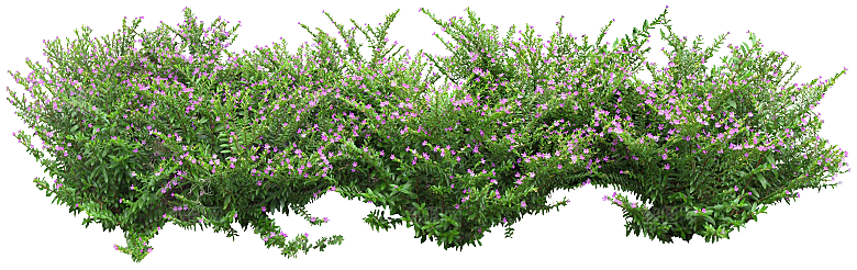 PS高清景观花卉花镜花坛花草植物搭配
