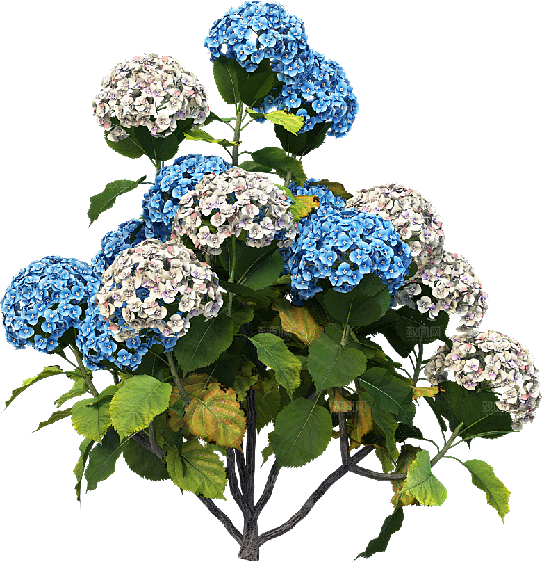 PS高清景观花卉花镜花坛花草植物搭配素材