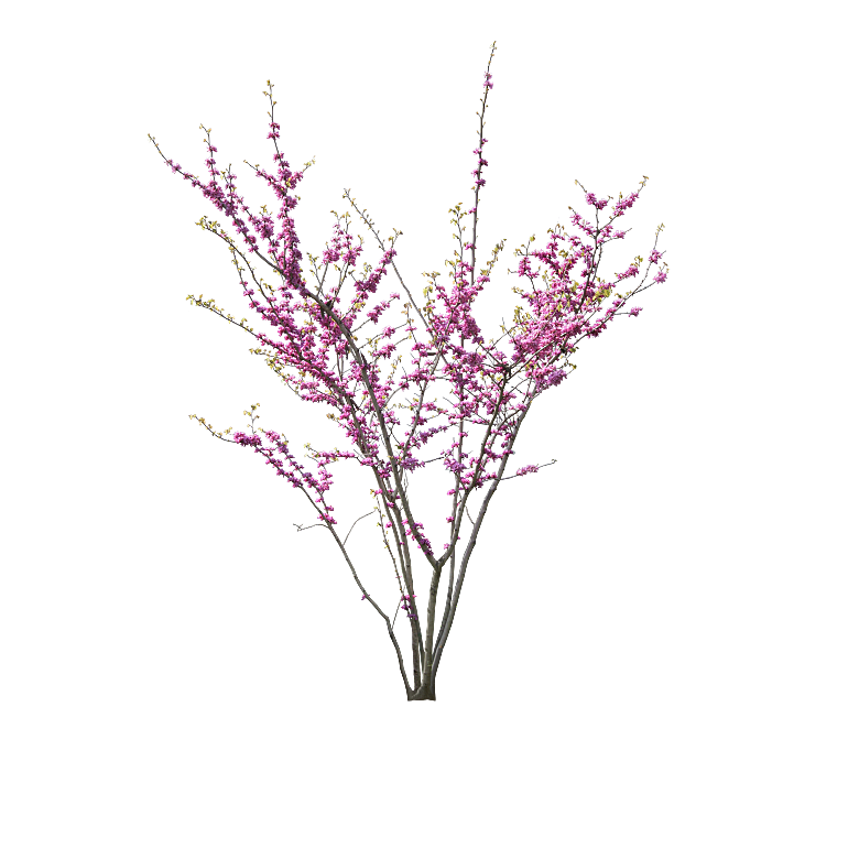 PS高清景观花卉花镜花坛花草植物搭配素材