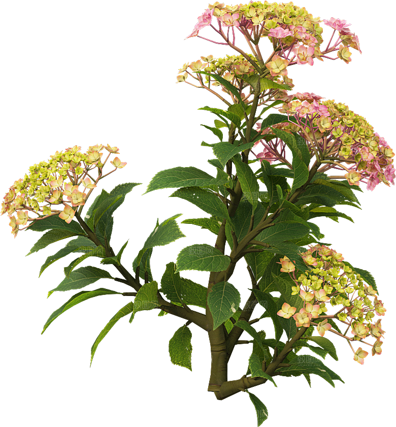 PS高清景观花卉花镜花坛花草植物搭配