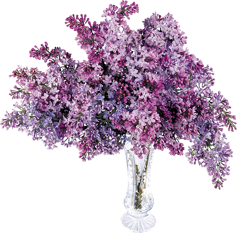 PS高清景观花卉花镜花坛花草植物搭配