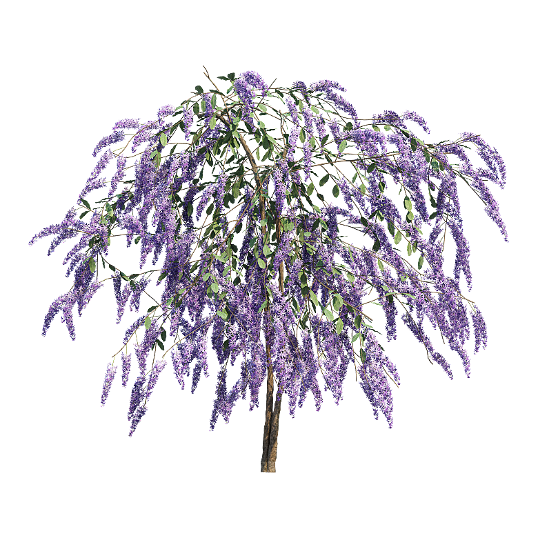 PS高清景观花卉花镜花坛花草植物搭配素材