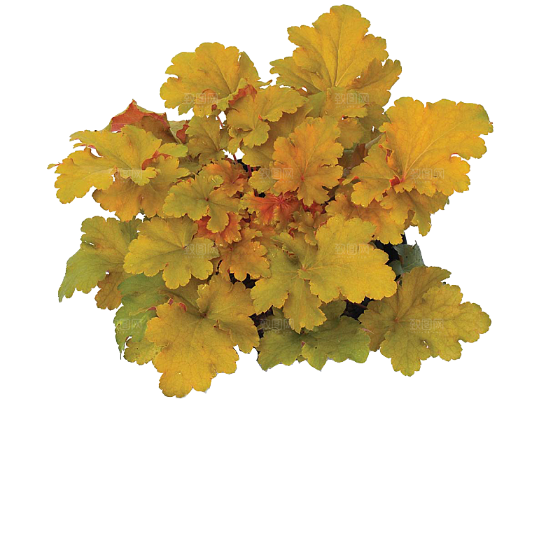 PS高清景观花卉花镜花坛花草植物搭配素材