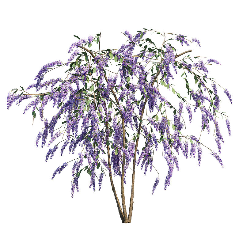 PS高清景观花卉花镜花坛花草植物搭配素材