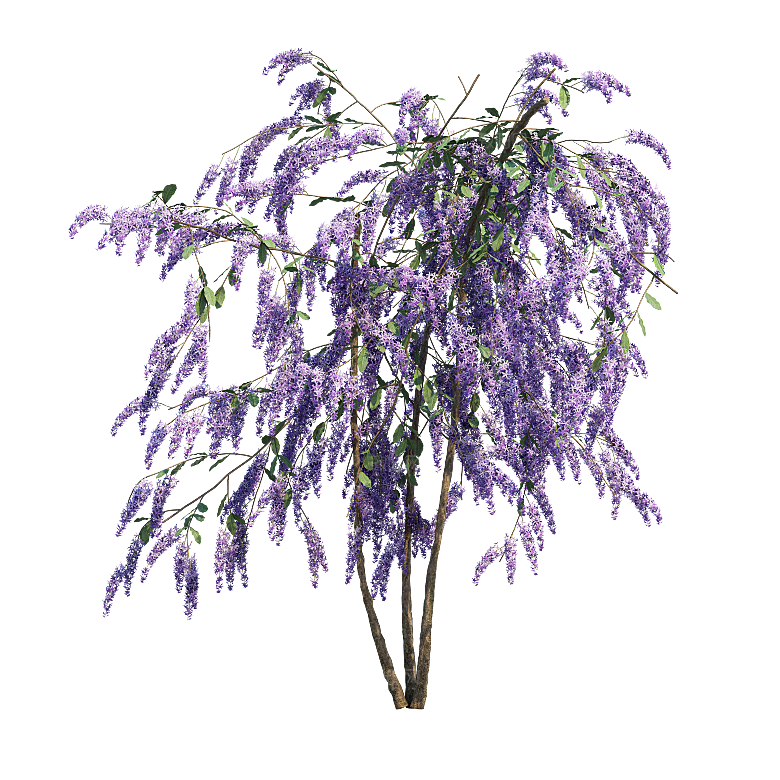 PS高清景观花卉花镜花坛花草植物搭配素材