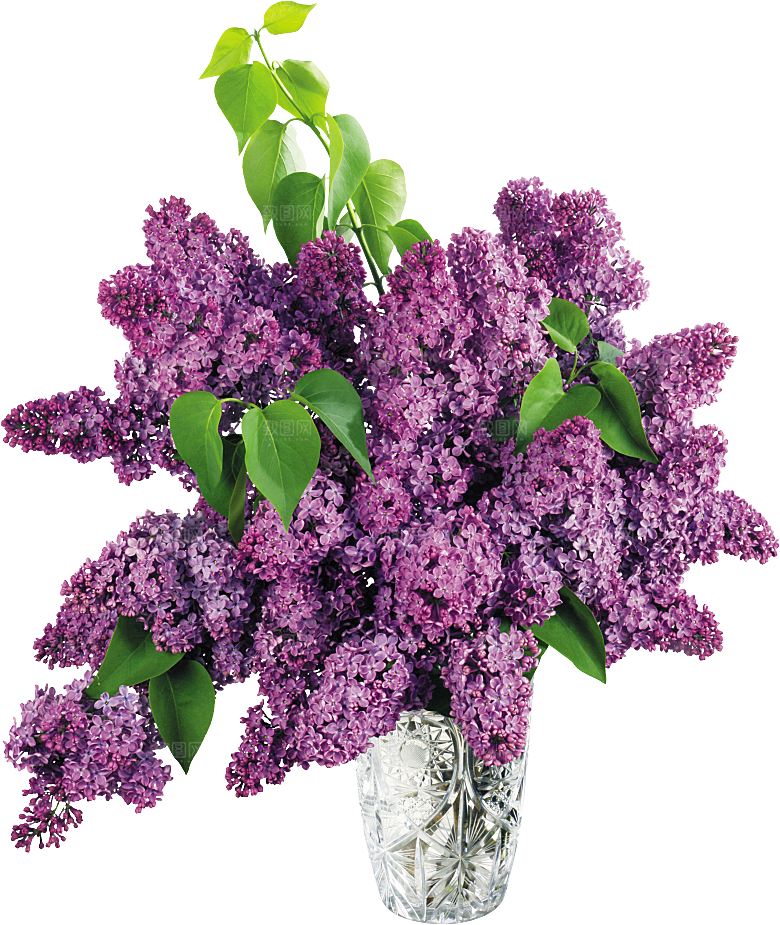 PS高清景观花卉花镜花坛花草植物搭配素材