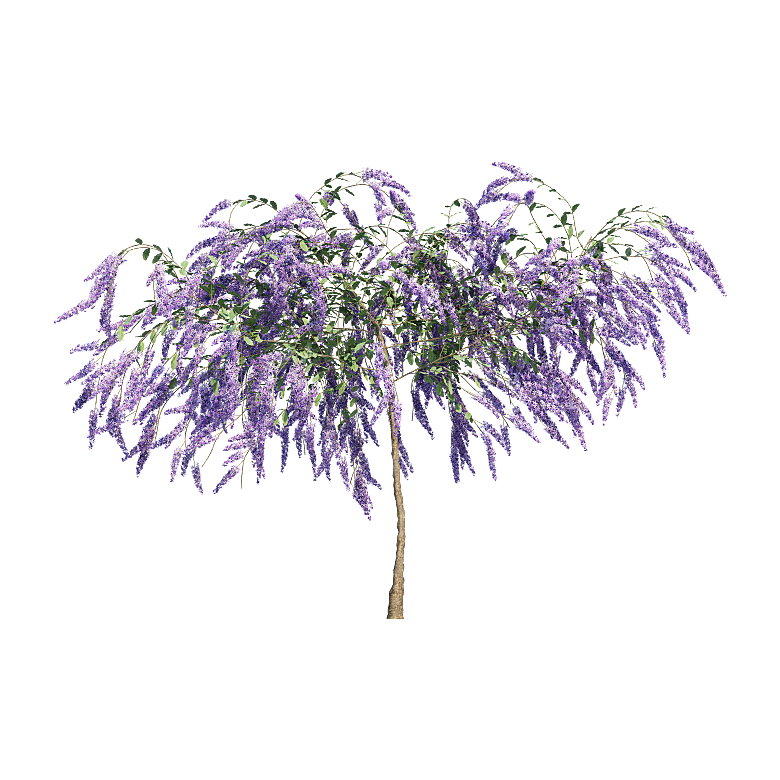PS高清景观花卉花镜花坛花草植物搭配