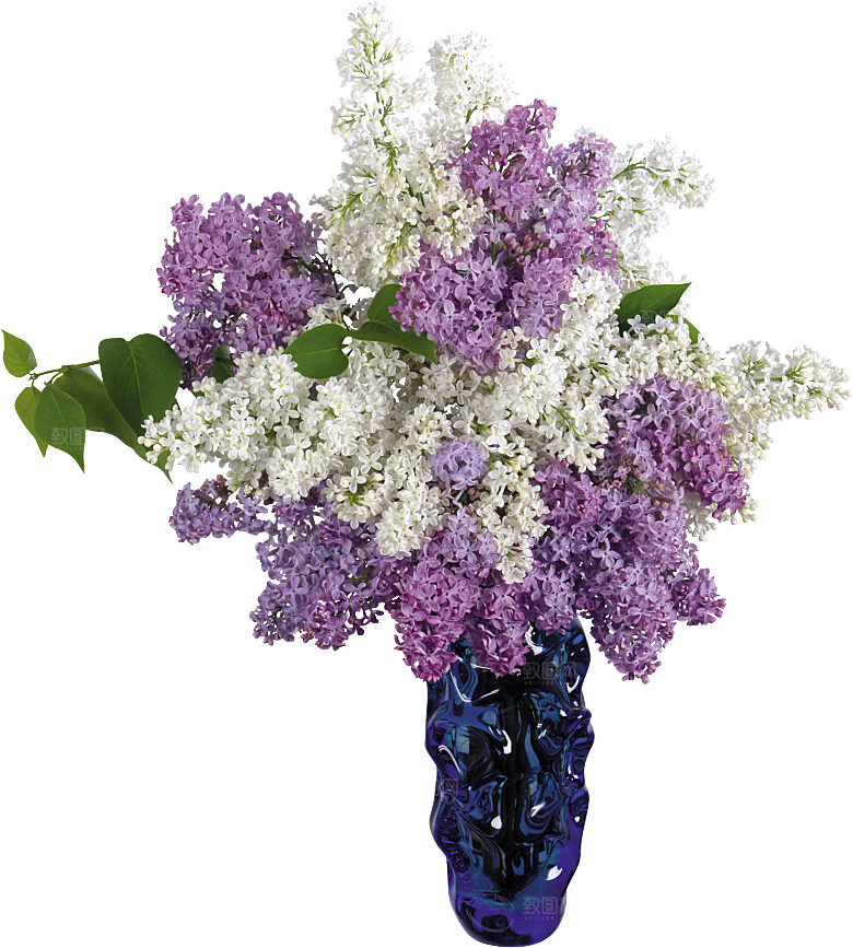 PS高清景观花卉花镜花坛花草植物搭配