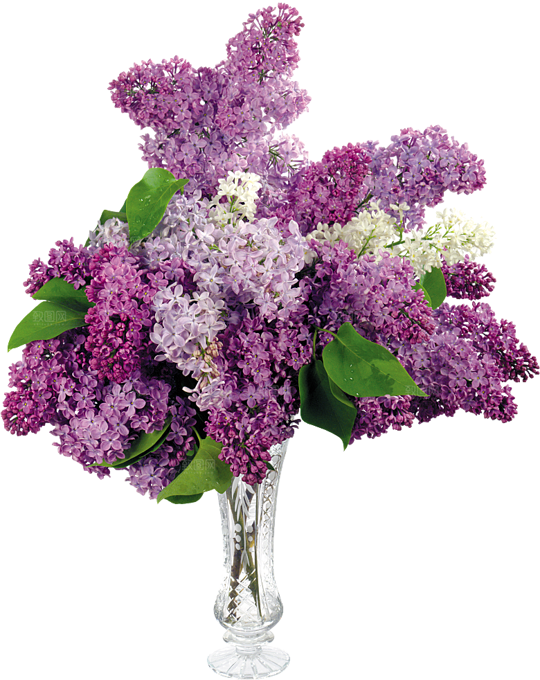 PS高清景观花卉花镜花坛花草植物搭配