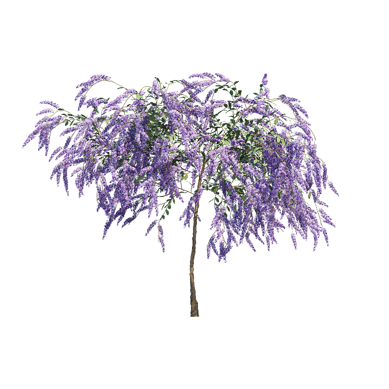 PS高清景观花卉花镜花坛花草植物搭配