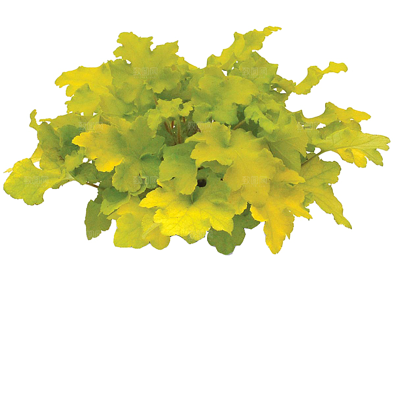 PS高清景观花卉花镜花坛花草植物搭配素材