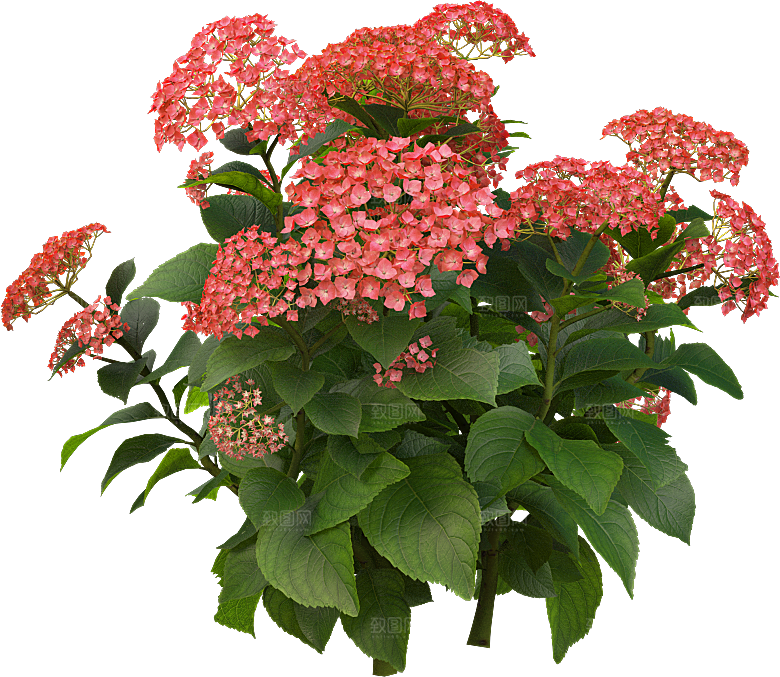 PS高清景观花卉花镜花坛花草植物搭配素材