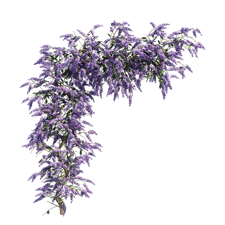 PS高清景观花卉花镜花坛花草植物搭配