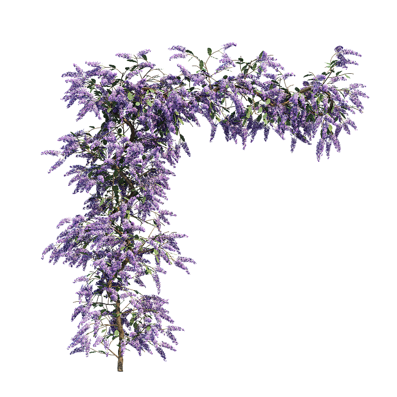 PS高清景观花卉花镜花坛花草植物搭配