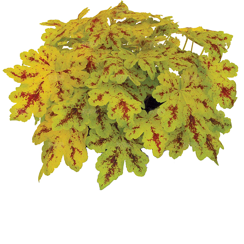 PS高清景观花卉花镜花坛花草植物搭配素材