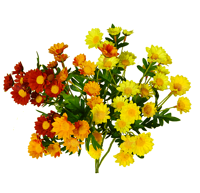 PS高清景观花卉花镜花坛花草植物搭配素材