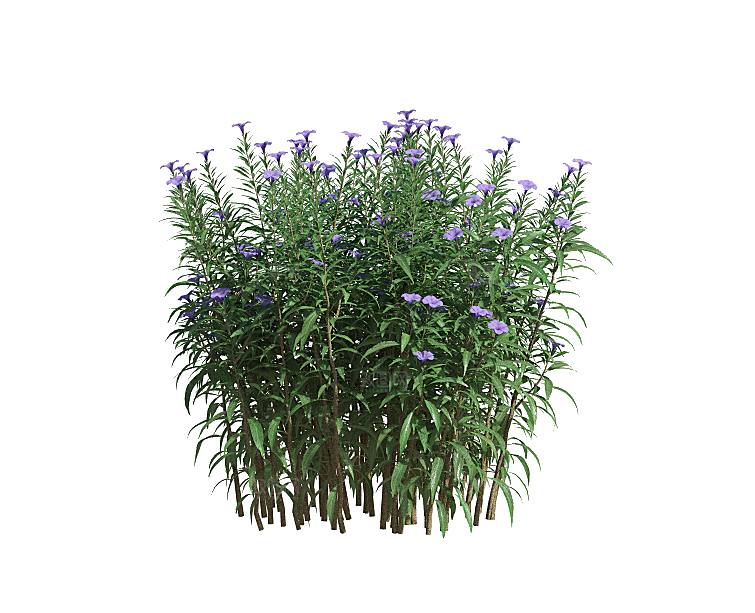 PS高清景观花卉花镜花坛花草植物搭配素材
