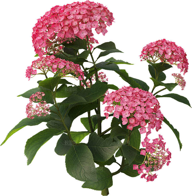PS高清景观花卉花镜花坛花草植物搭配素材