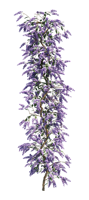 PS高清景观花卉花镜花坛花草植物搭配素材