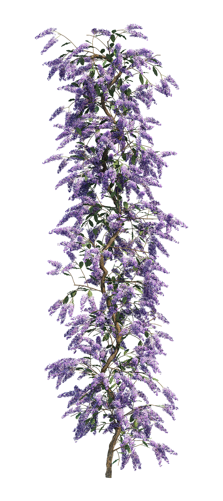 PS高清景观花卉花镜花坛花草植物搭配素材