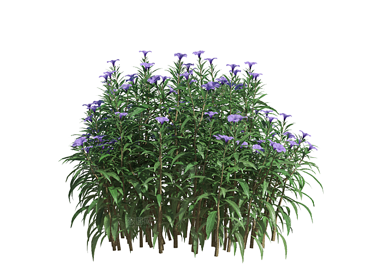 PS高清景观花卉花镜花坛花草植物搭配素材