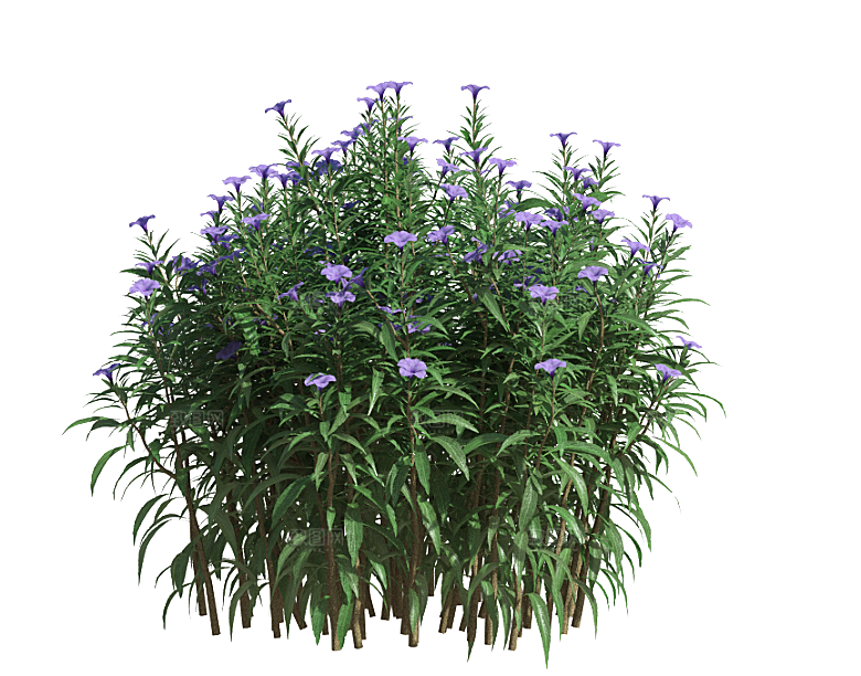 PS高清景观花卉花镜花坛花草植物搭配