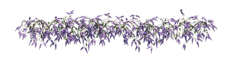 PS高清景观花卉花镜花坛花草植物搭配