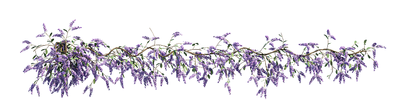 PS高清景观花卉花镜花坛花草植物搭配