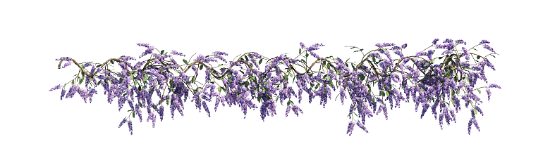 PS高清景观花卉花镜花坛花草植物搭配