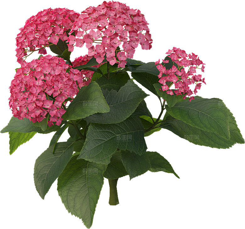 PS高清景观花卉花镜花坛花草植物搭配