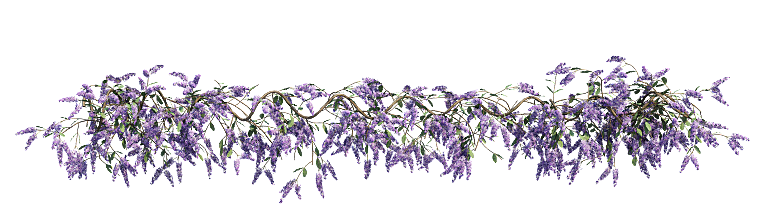 PS高清景观花卉花镜花坛花草植物搭配