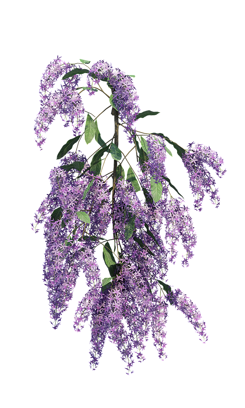 PS高清景观花卉花镜花坛花草植物搭配素材