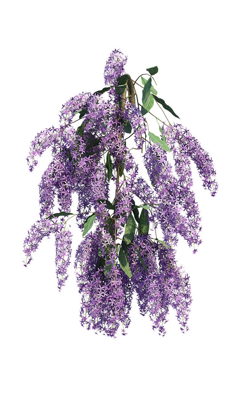 PS高清景观花卉花镜花坛花草植物搭配素材