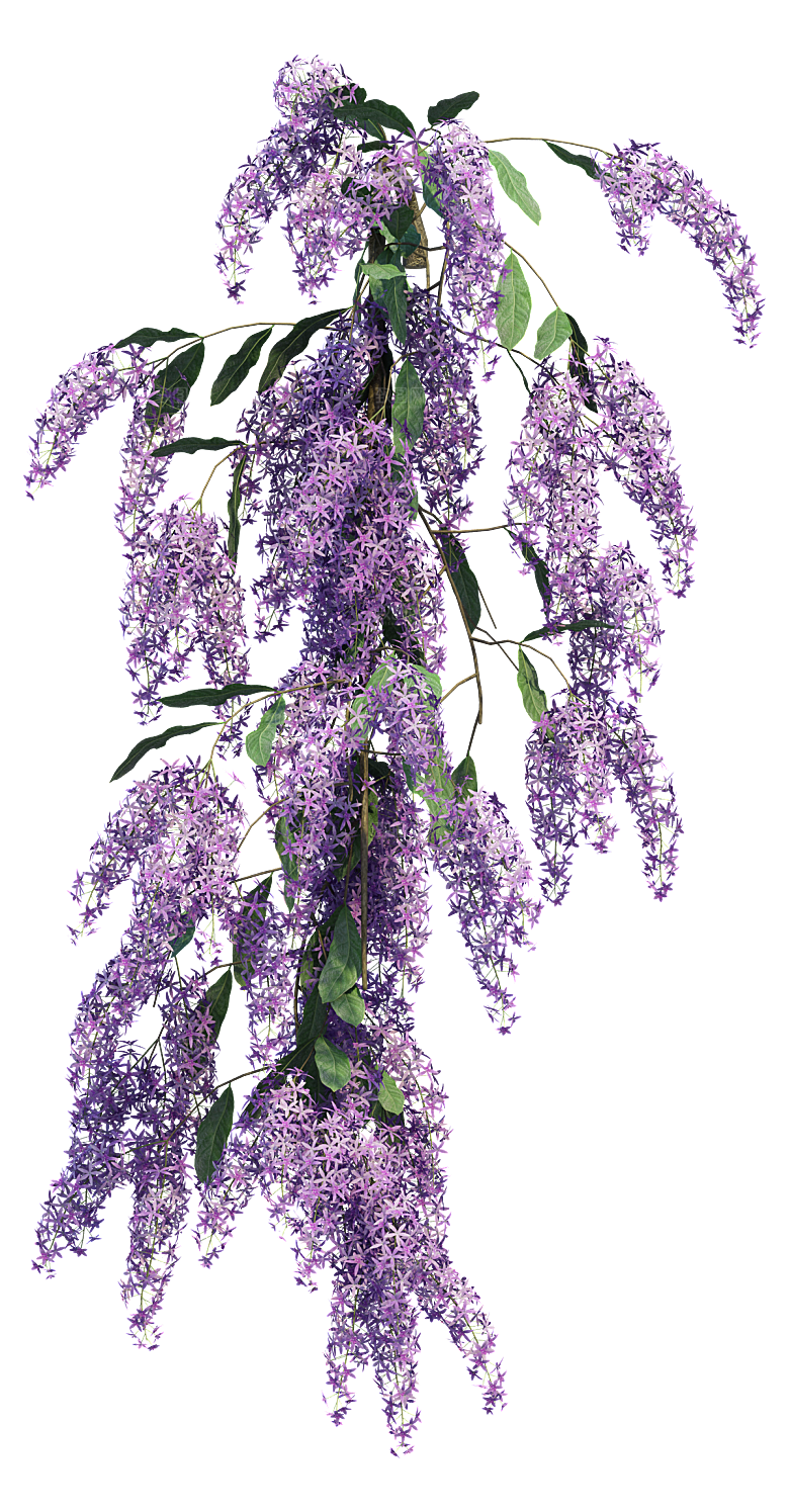 PS高清景观花卉花镜花坛花草植物搭配素材