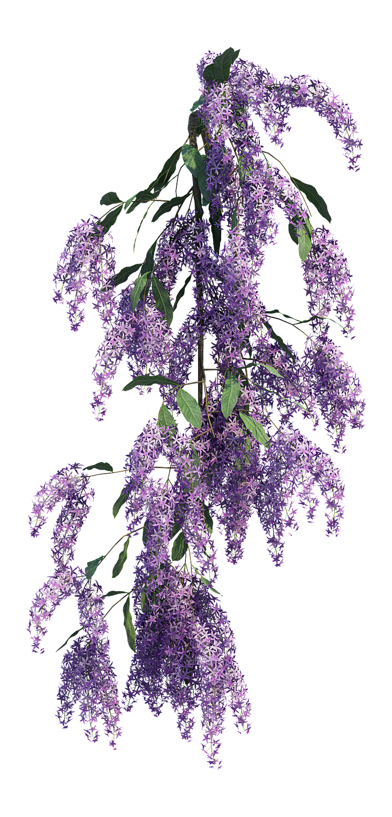 PS高清景观花卉花镜花坛花草植物搭配素材