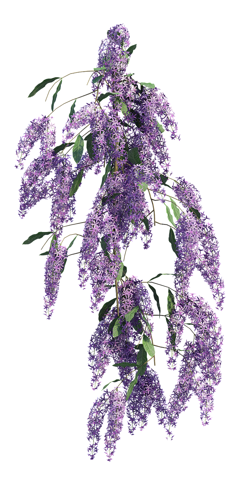 PS高清景观花卉花镜花坛花草植物搭配素材