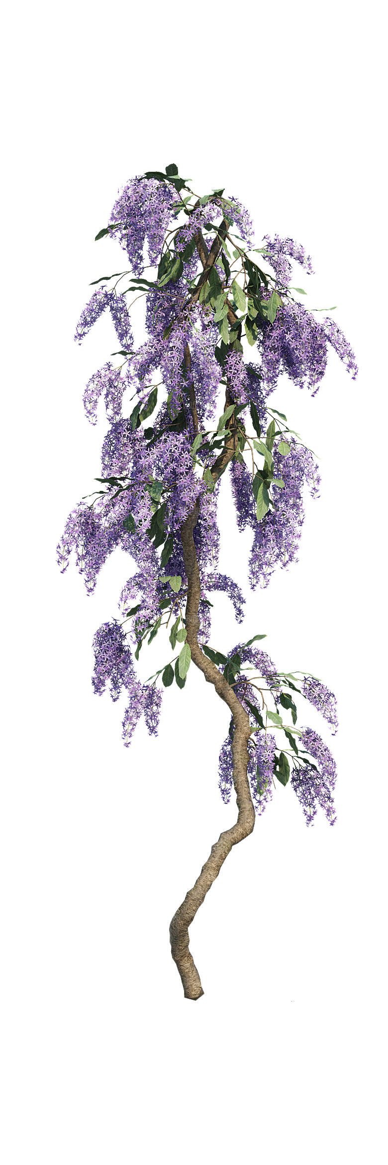 PS高清景观花卉花镜花坛花草植物搭配素材