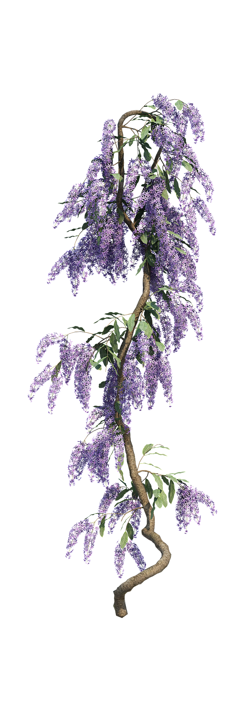 PS高清景观花卉花镜花坛花草植物搭配素材
