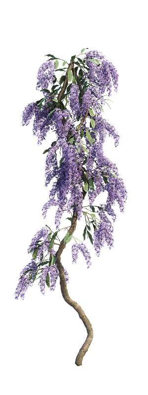 PS高清景观花卉花镜花坛花草植物搭配素材
